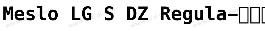 Meslo LG S DZ Regula字体转换